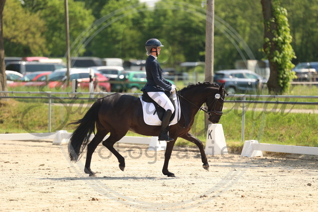 994A7222 | sabrinanicolaifotografie - Realisiert mit Pictrs.com