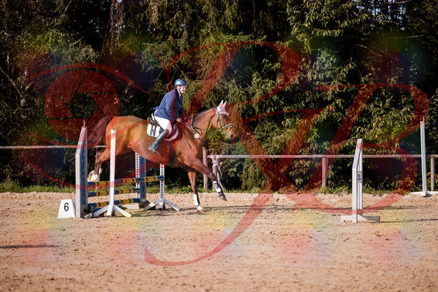 2026_10_03_Siefer-Hof_160653_Z81_88752941 | Professionelle Reitsport-, Turnier- und Eventfotografie von Robert Broda. Galerien mit ausgewählten und bearbeiteten Bildern direkt online ansehen und bestellen.