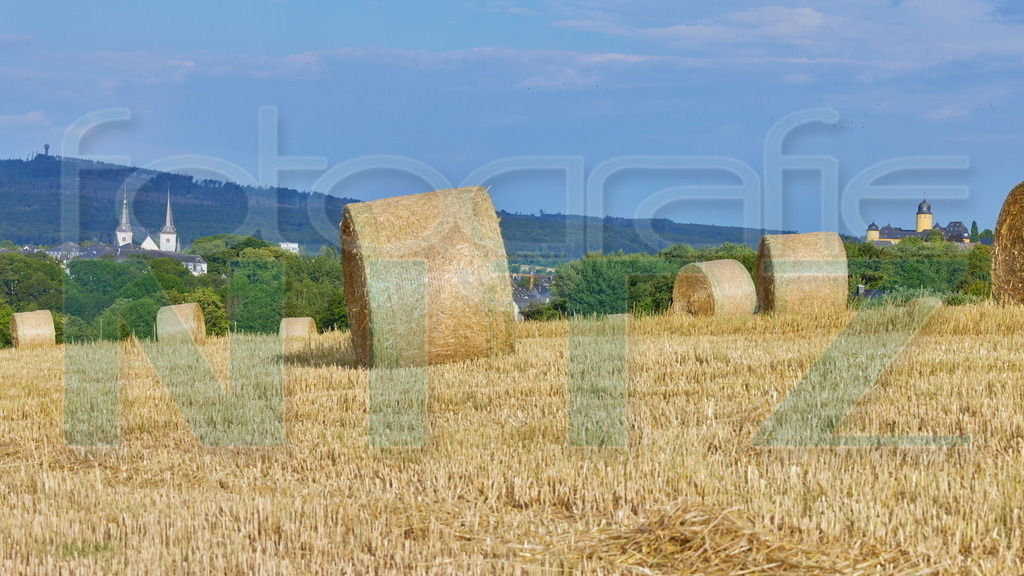 2022-07-29 06-54-44_08 _5_19921 Panorama_2 - Kopie | Nitz Fotografie aus Montabaur bietet Ihnen hier die Möglichkeit Bilder auszusuchen und zu bestellen. 