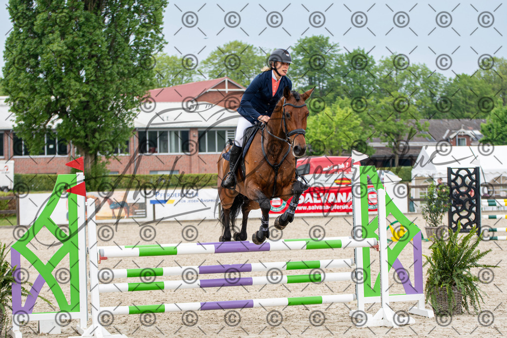 KPT_2841 | andre_photographic