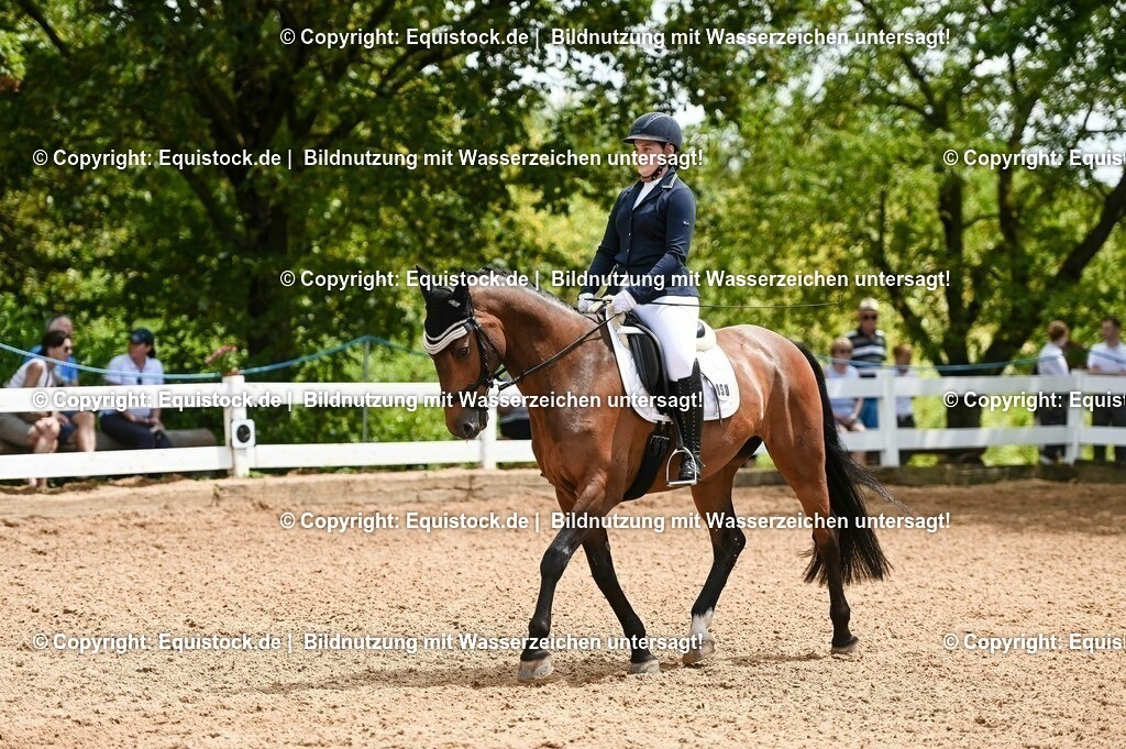 20230716_03_Dressurprfg. Kl.L - Tr._0652 | equistock