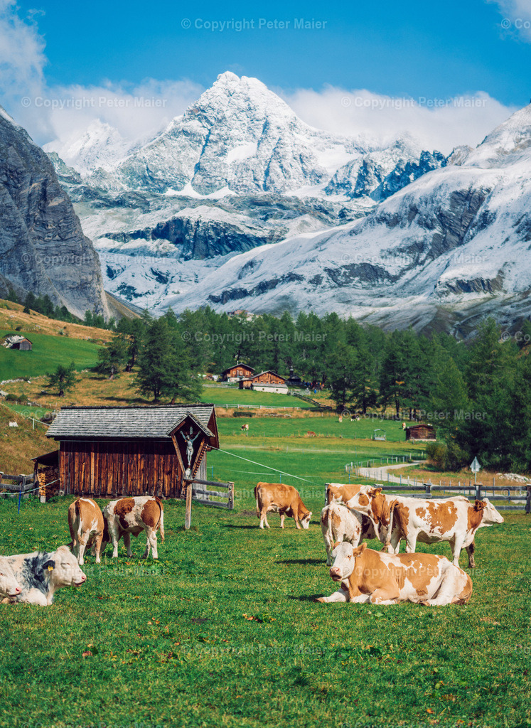 Kals_Herbst-259 | piet_flosse