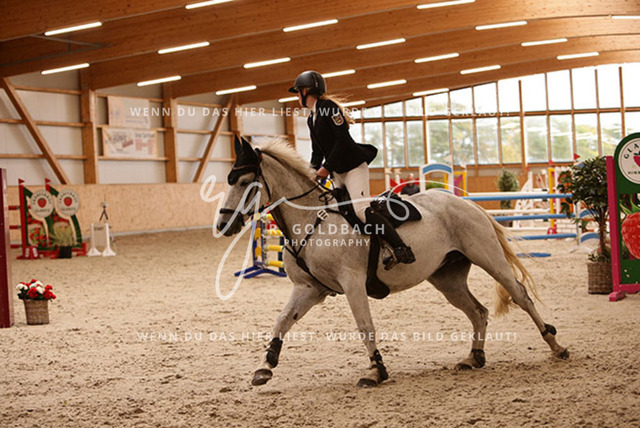 1J2A8549Alina Maack_ Catalano 22_ Kn090_ Glantz_ Hohen Wieschendorf | Foto- und Videografie für alles rund ums Pferd. Hochwertige Bilder und Videos vom Spring- und Dressurreiten, Voltigieren & mehr. Jetzt aktuelle Veranstaltungen und Preise im Shop ansehen. - Realisiert mit Pictrs.com