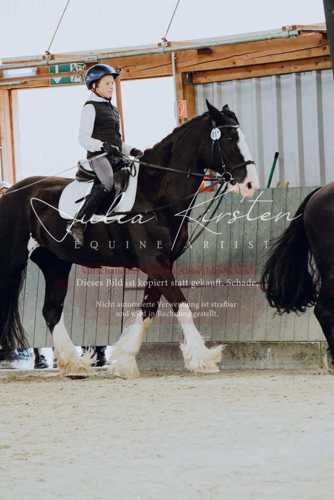 DSC_7215 | Pferde- und Turnierfotografie in Westsachsen. Pferdeportraits, Auftragszeichnungen und intuitive Kunst.