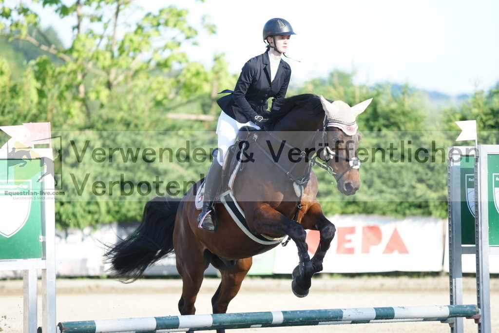 DSC05872 | equestrian-live-com