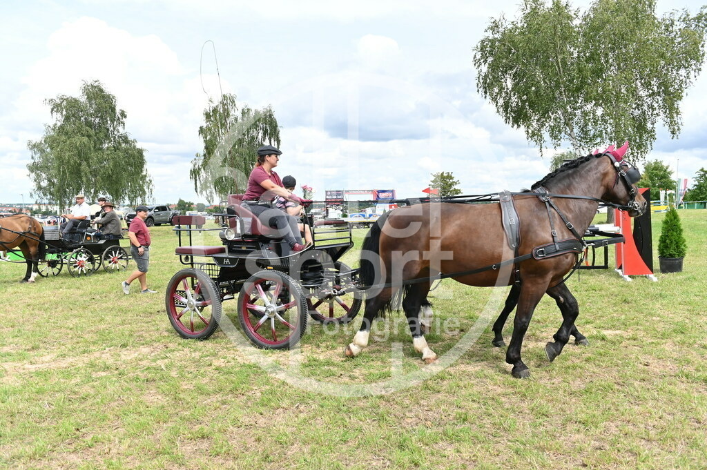 DSC_4275 | sattelsport - Realisiert mit Pictrs.com