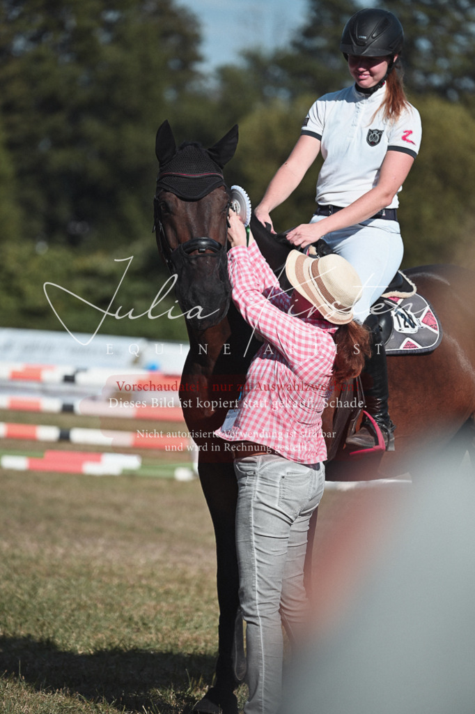 DSC_8858 | Pferde- und Turnierfotografie in Westsachsen. Pferdeportraits, Auftragszeichnungen und intuitive Kunst.