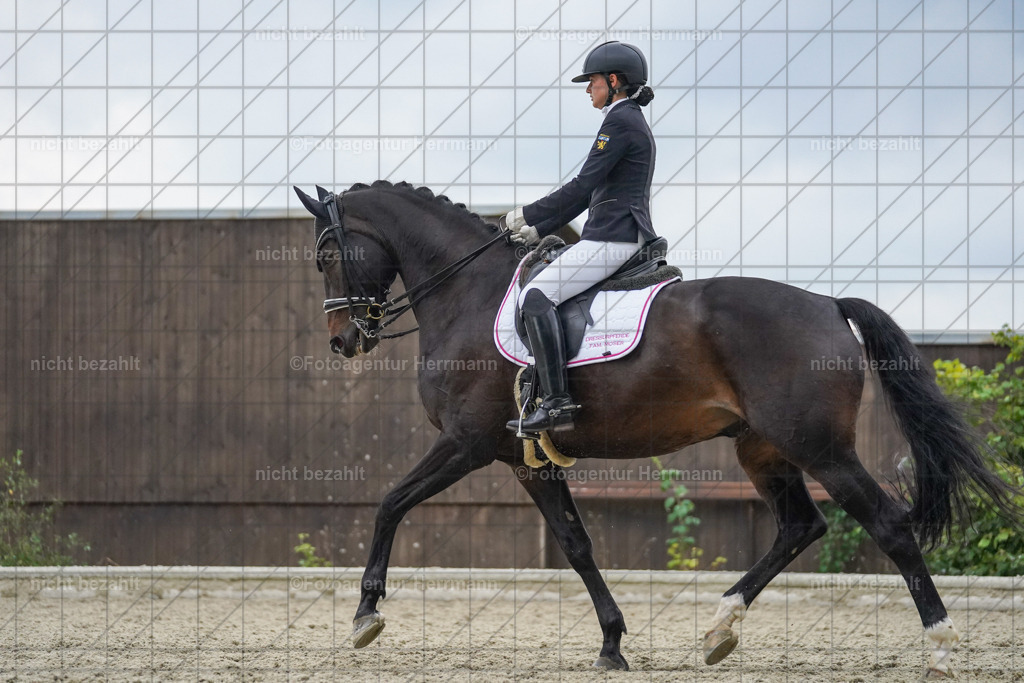 20230826-FAH06309 | Forstinning, 2023, Dressurturnier, Turniersportbilder, Turnierfotografen Bayern, Fotoagentur Herrmann, Reitsportfotografie, Turnierbilder