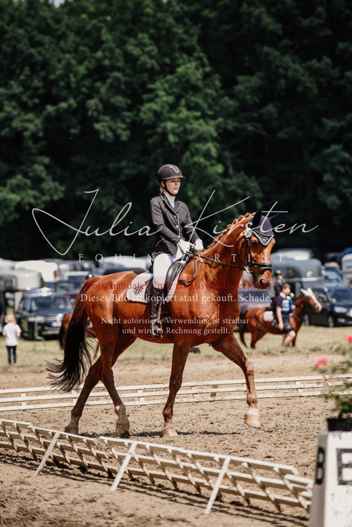 DSC_1554 | Pferde- und Turnierfotografie in Westsachsen. Pferdeportraits, Auftragszeichnungen und intuitive Kunst.