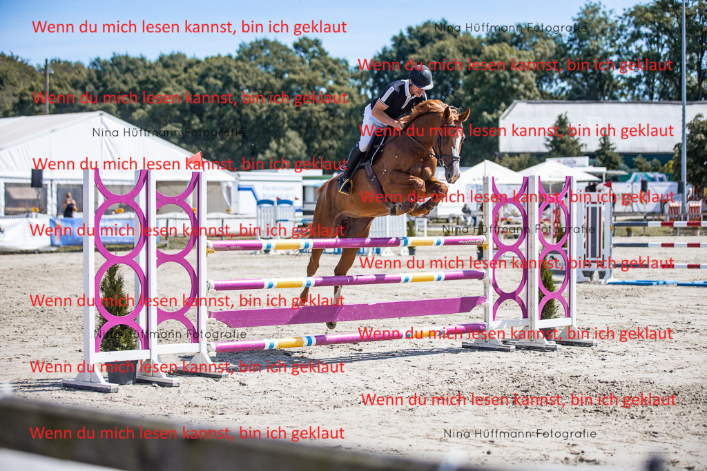 BK1A6374 | Turnierbilder Turnierfotos Nina Hüffmann Turnierfotografie Pferdefotografie Tierzeichnung Haustierzeichnung Pferdezeichnung Hundezeichnung Videograf  - Realisiert mit Pictrs.com