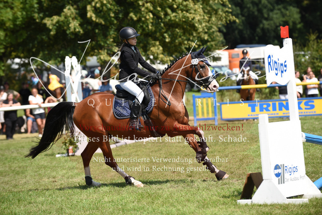DSC_0008 | Pferde- und Turnierfotografie in Westsachsen. Pferdeportraits, Auftragszeichnungen und intuitive Kunst.