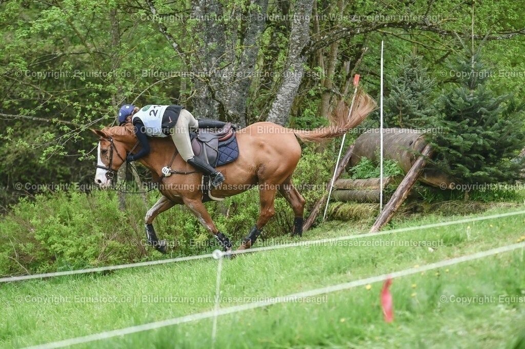 20230513_CCI2_Section2_Gelände_0060 | equistock