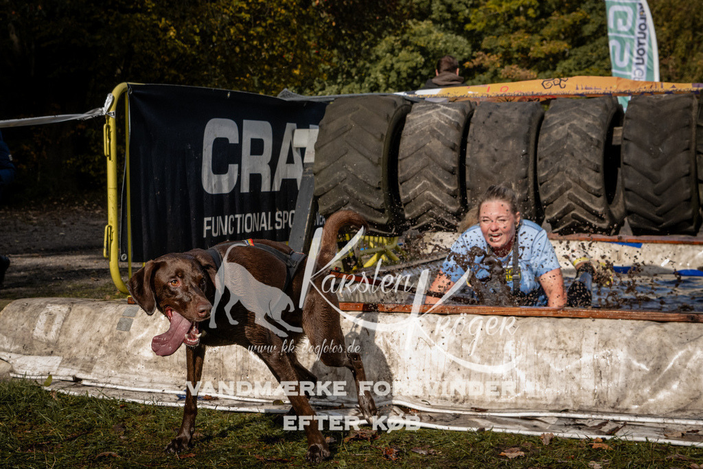 1342_ZZ92869 | kk-dogfotos