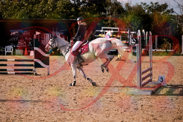 2026_10_03_Siefer-Hof_155127_Z81_70381104 | Professionelle Reitsport-, Turnier- und Eventfotografie von Robert Broda. Galerien mit ausgewählten und bearbeiteten Bildern direkt online ansehen und bestellen.