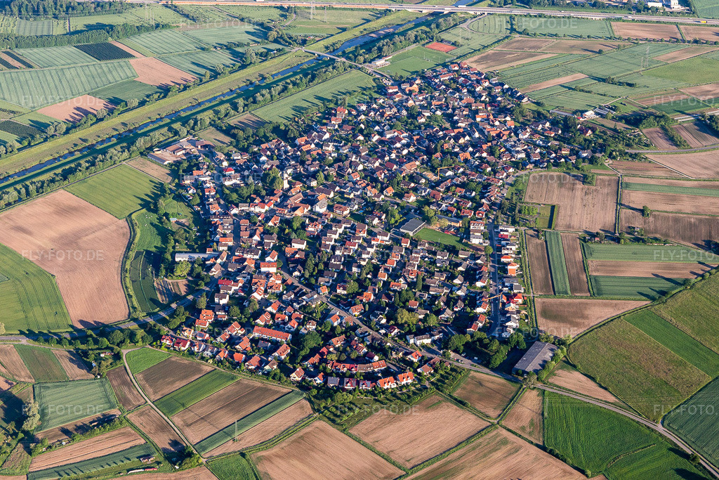Luftbild: Ortsansicht im Ortsteil Griesheim in Offenburg im Bundesland Baden-Württemberg in Deutschland. Foto: IMG_114960.jpg vom 01.06.2019 durch Werner Riehm/FLY-FOTO.de