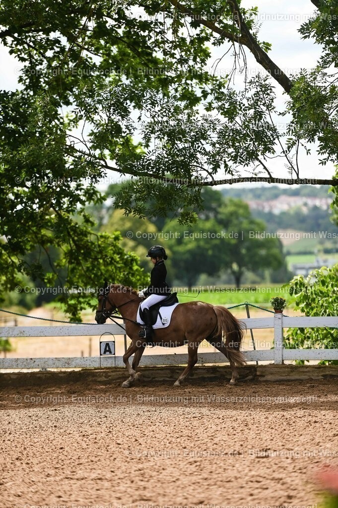 20230716_10-3_Reiter-WB Schritt - Trab - Galopp_0163 | equistock