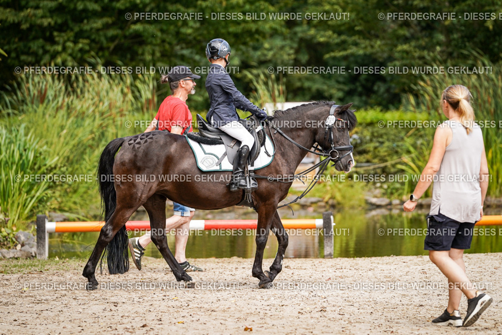 DSC02694 | Pferdegrafie