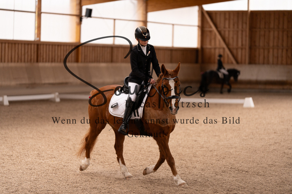 A7506916 | Turnier/Reitfotograf
