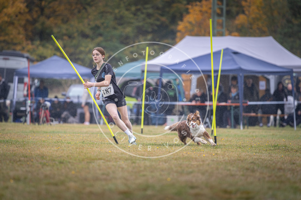 Pfotenfotografie_DV3A0147 | Hundefotografie, Tierfotograf, Pfotenfotografie, Fotoshooting Hund, Hunde Portrait, Hundesport, Hundeportraits, Heideshooting, Hunde, Sportfotograf, Hundefotograf, Turnierhundsport, THS,  - Realisiert mit Pictrs.com
