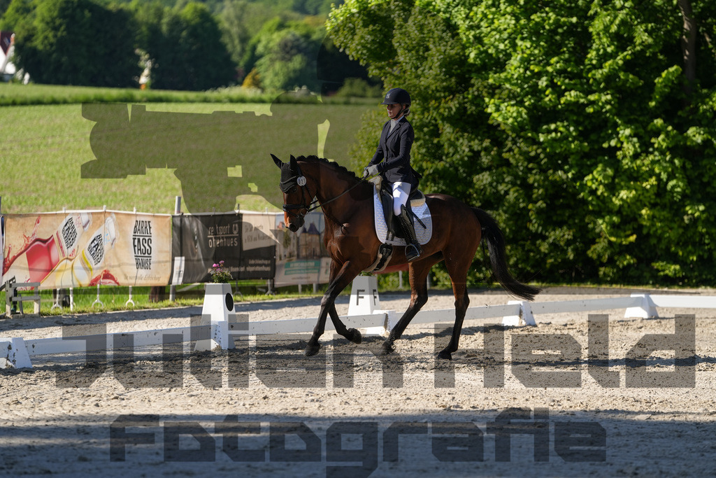 DSC00832 | Julian Held Fotografie - Realisiert mit Pictrs.com