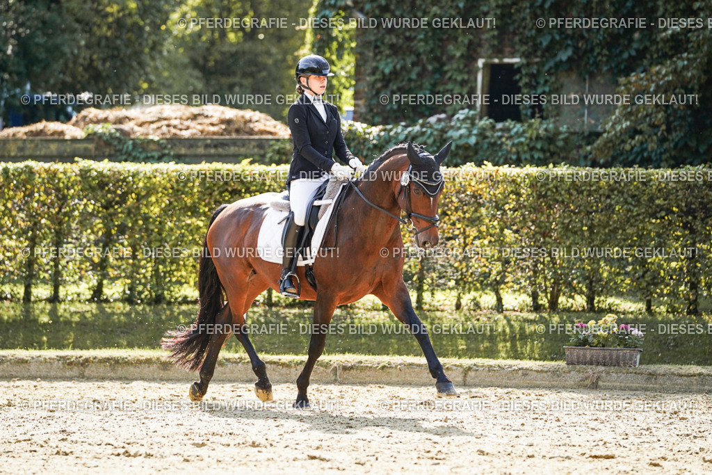 DSC07215 | Pferdegrafie