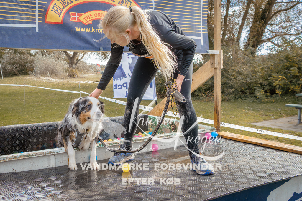 1400_ZZ93303-2 | kk-dogfotos