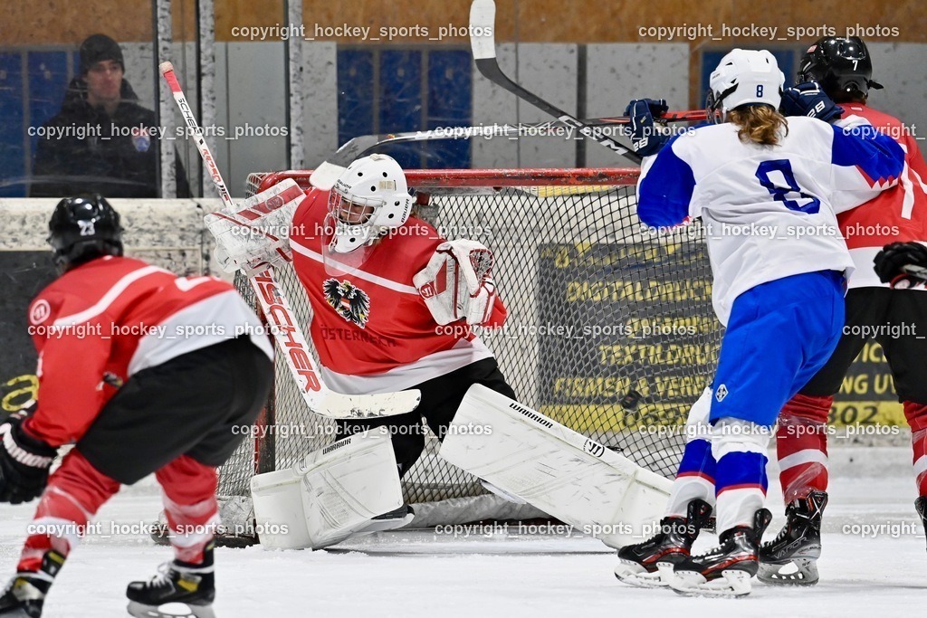 BST_3724 | hockey sports photos, Pressefotos, Sportfotos, hockey247, win 2day icehockeyleague, Handball Austria, Floorball Austria, ÖVV, Kärntner Eishockeyverband, KEHV, KFV, Kärntner Fussballverband, Österreichischer Volleyballverband, Alps Hockey League, ÖFB, 