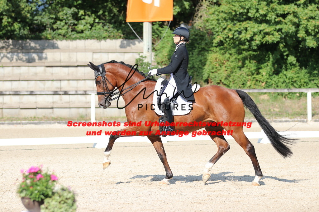 IMG_9100 | lmwpictures - Realisiert mit Pictrs.com