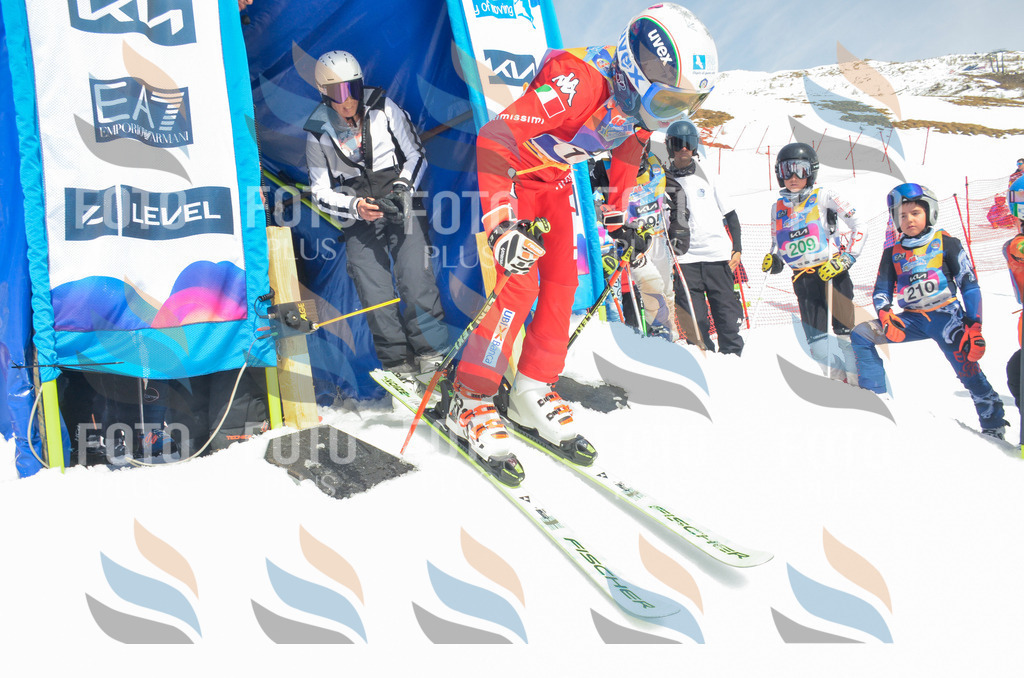 _ELE6639 | holidayphoto