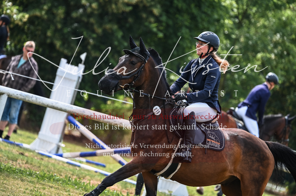 DSC_8257 | Pferde- und Turnierfotografie in Westsachsen. Pferdeportraits, Auftragszeichnungen und intuitive Kunst.