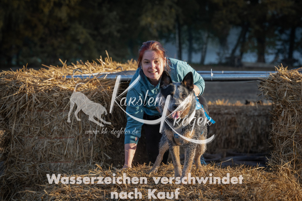 0914_ZZ92165 | kk-dogfotos