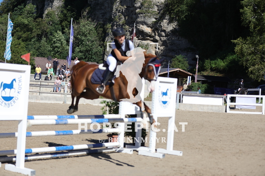 0P6A5198 | Willkommen bei Brunnmayr - Design & Fotografie – Ihrem Spezialisten für Reitturniere und Pferdeveranstaltungen in Oberösterreich, Salzburg und Bayern! Seit über 17 Jahren sind wir leidenschaftlich dabei.