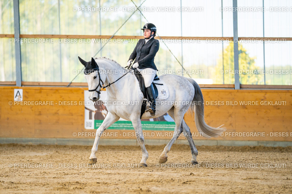 DSC06197 | Pferdegrafie