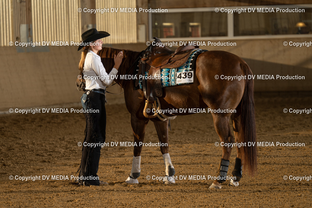 LAU02013 | dv-media-shop - Realisiert mit Pictrs.com