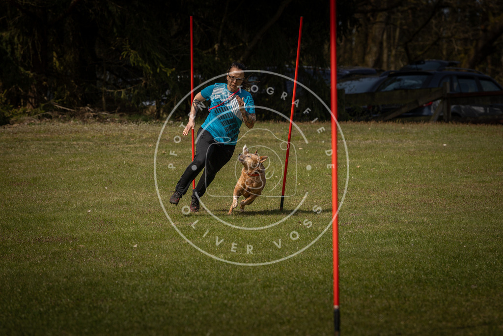 Pfotenfotografie_DV3A4810 | Hundefotografie, Tierfotograf, Pfotenfotografie, Fotoshooting Hund, Hunde Portrait, Hundesport, Hundeportraits, Heideshooting, Hunde, Sportfotograf, Hundefotograf, Turnierhundsport, THS,  - Realisiert mit Pictrs.com