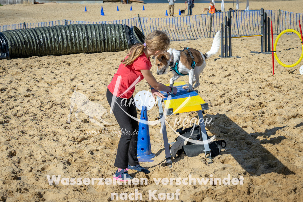 1227_ZZ93174-2 | kk-dogfotos