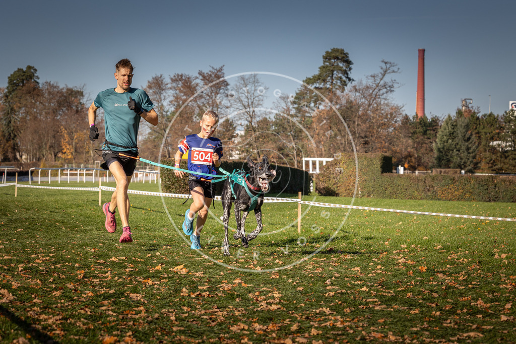 CaniXpix_0L8A6625 | Hundefotografie, Tierfotograf, Pfotenfotografie, Fotoshooting Hund, Hunde Portrait, Hundesport, Hundeportraits, Heideshooting, Hunde, Sportfotograf, Hundefotograf, Turnierhundsport, THS,  - Realisiert mit Pictrs.com