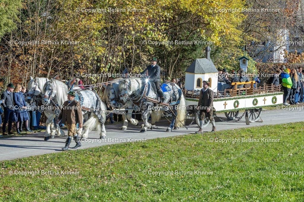 LBT25-250 | foto-bettina-krinner - Realisiert mit Pictrs.com