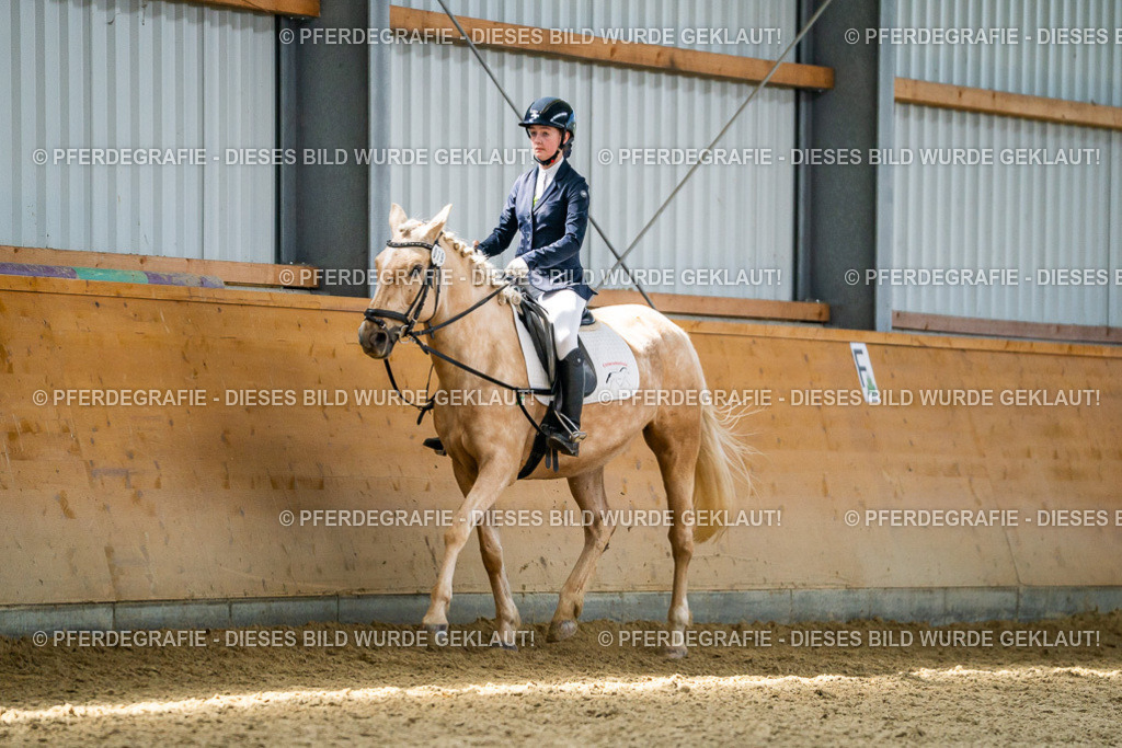 DSC03770 | Pferdegrafie