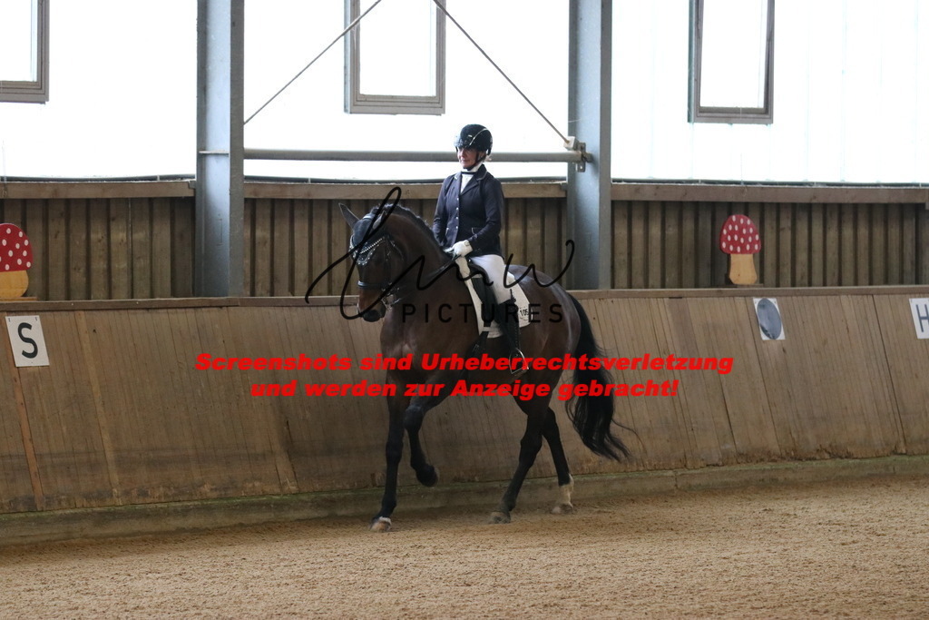 IMG_8500 | lmwpictures - Realisiert mit Pictrs.com