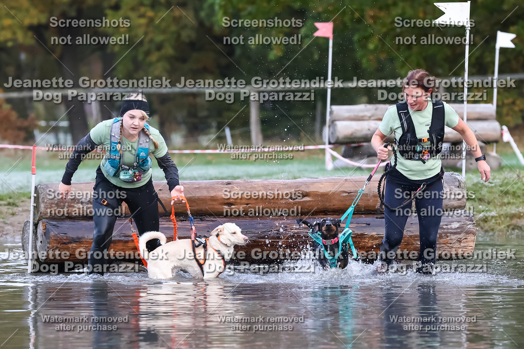 Dog Paparazzi - Strongdog 10-25-6237 | Dog Paparazzi Jeanette Grottendiek Fotografie & Videografie - Realisiert mit Pictrs.com