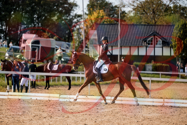 2026_10_03_Siefer-Hof_132809_Z63_88031059 | Professionelle Reitsport-, Turnier- und Eventfotografie von Robert Broda. Galerien mit ausgewählten und bearbeiteten Bildern direkt online ansehen und bestellen.