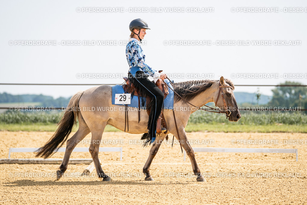 DSC09737 | Pferdegrafie