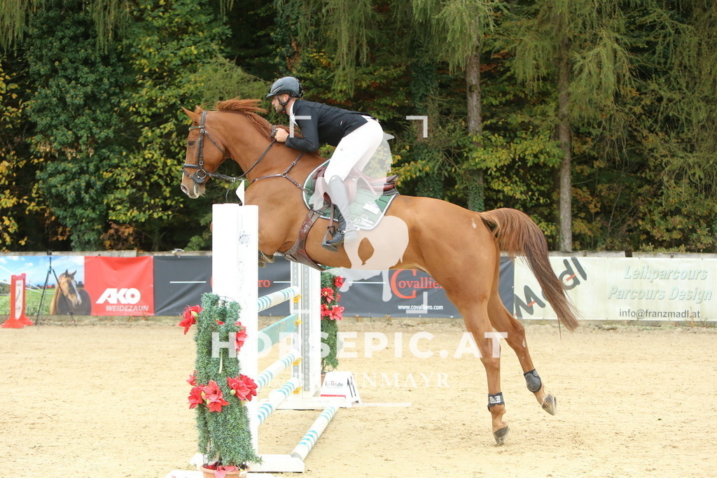 DL2Q6807 | Willkommen bei Brunnmayr - Design & Fotografie – Ihrem Spezialisten für Reitturniere und Pferdeveranstaltungen in Oberösterreich, Salzburg und Bayern! Seit über 17 Jahren sind wir leidenschaftlich dabei.