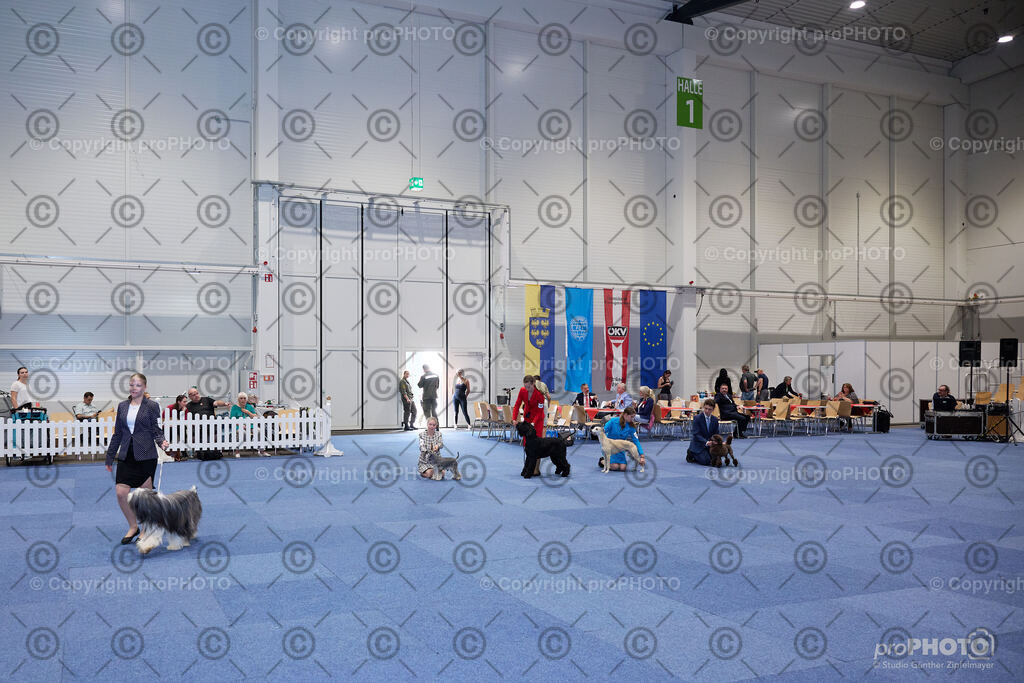 202406_ÖKV-IHA-Tulln24_NZ9_7742 | proPHOTO - Realisiert mit Pictrs.com