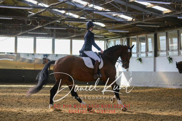 IMG_2322 | Turniersportfotografie; Pferdefotografie; Dressurfotografie