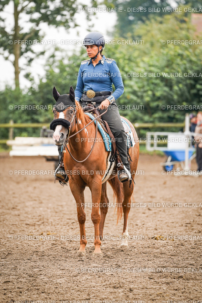 DSC02662 | Pferdegrafie