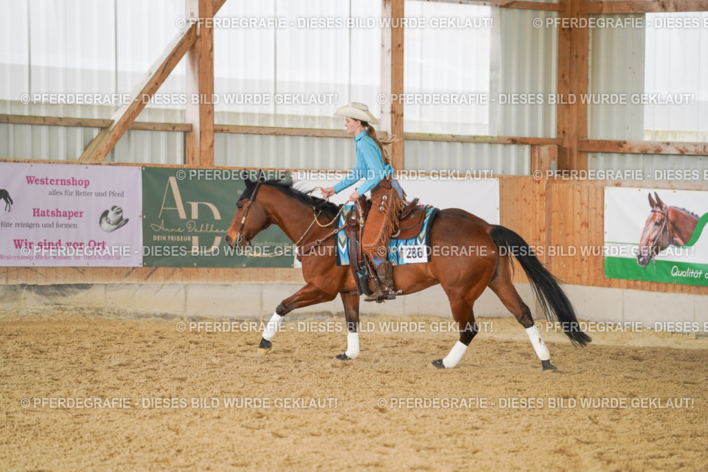 DSC00868 | Pferdegrafie