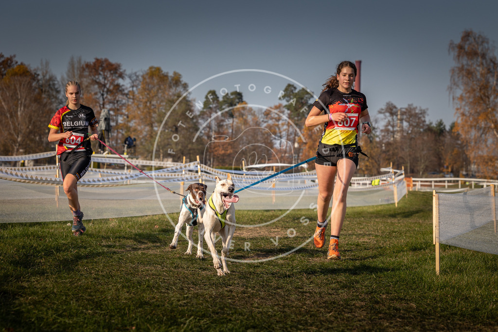 CaniXpix_0L8A0104 | Hundefotografie, Tierfotograf, Pfotenfotografie, Fotoshooting Hund, Hunde Portrait, Hundesport, Hundeportraits, Heideshooting, Hunde, Sportfotograf, Hundefotograf, Turnierhundsport, THS,  - Realisiert mit Pictrs.com