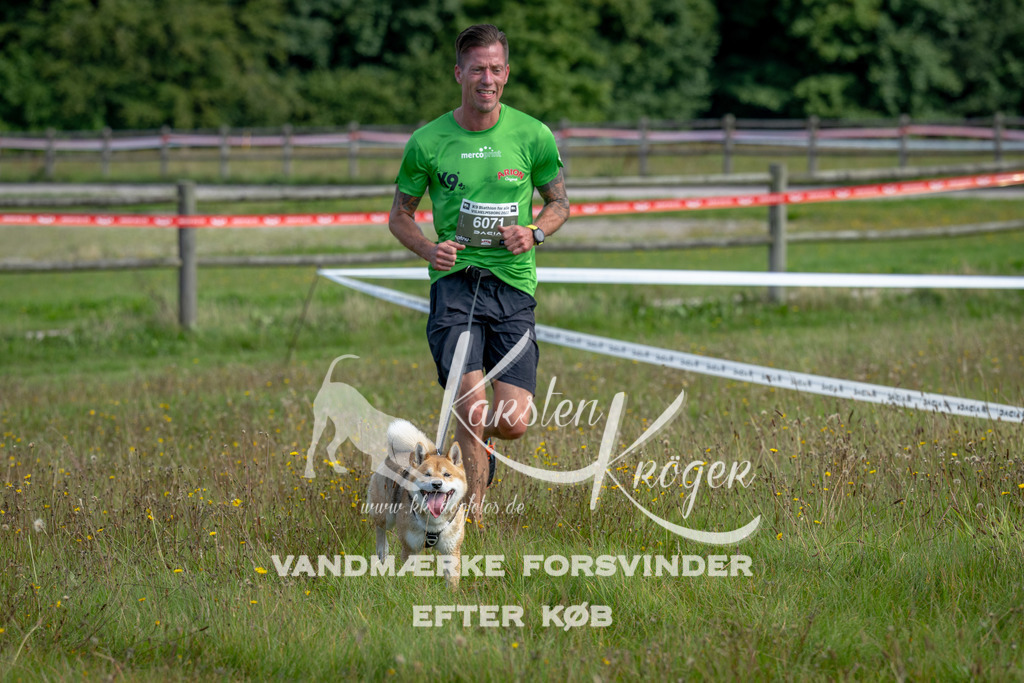 1128_ZZ92486 | kk-dogfotos